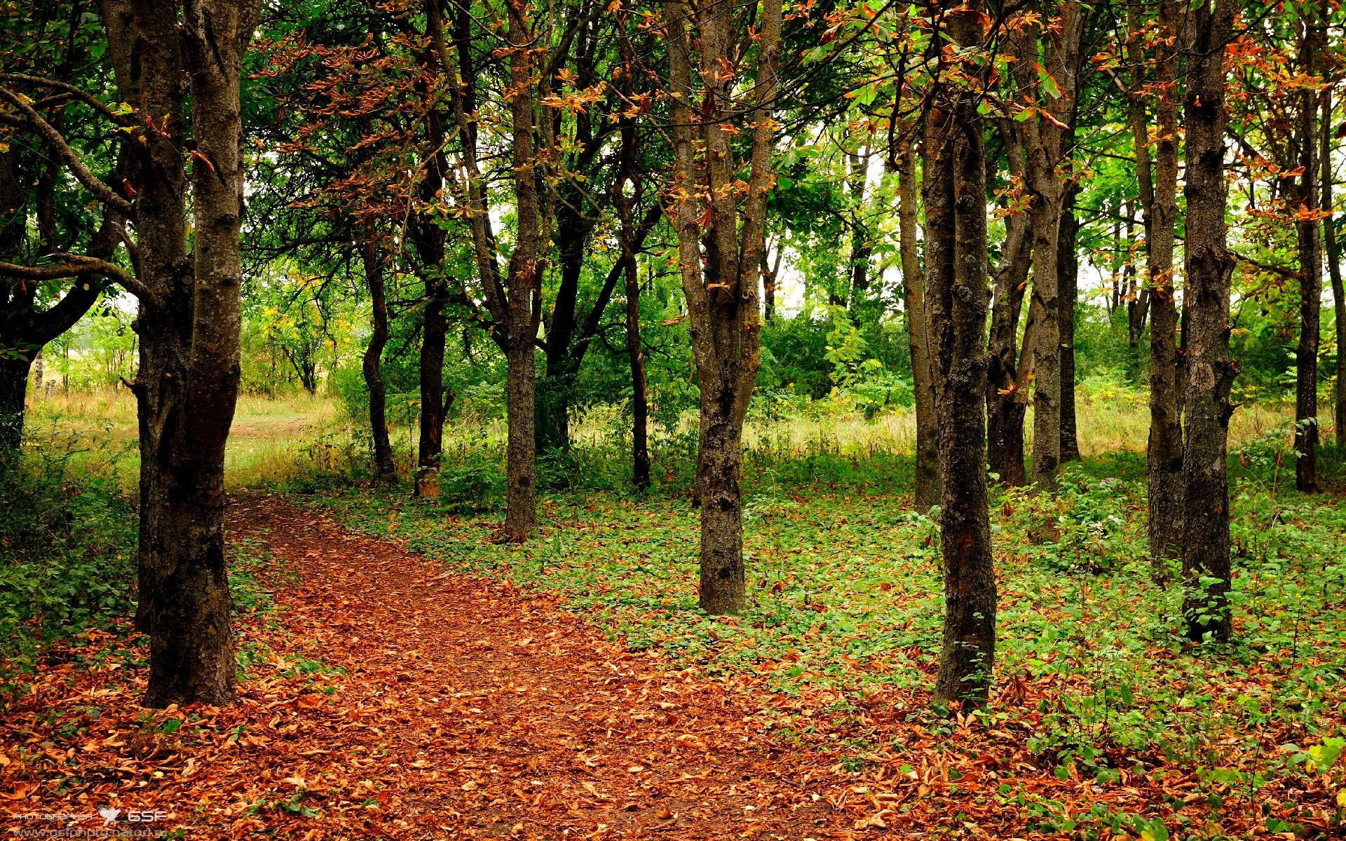 格林雷霆突破撕开活塞，湖人内外失衡吞三连败