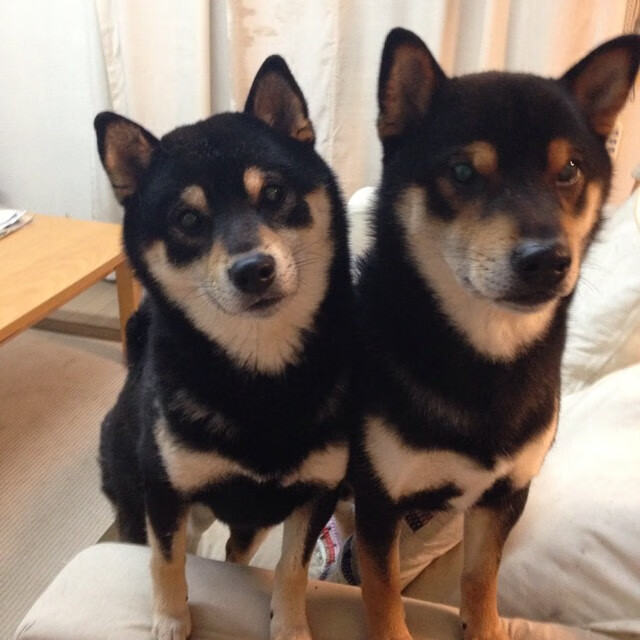 篮球不是英雄的独舞，而是沉默者的凯歌，当切特一球定乾坤