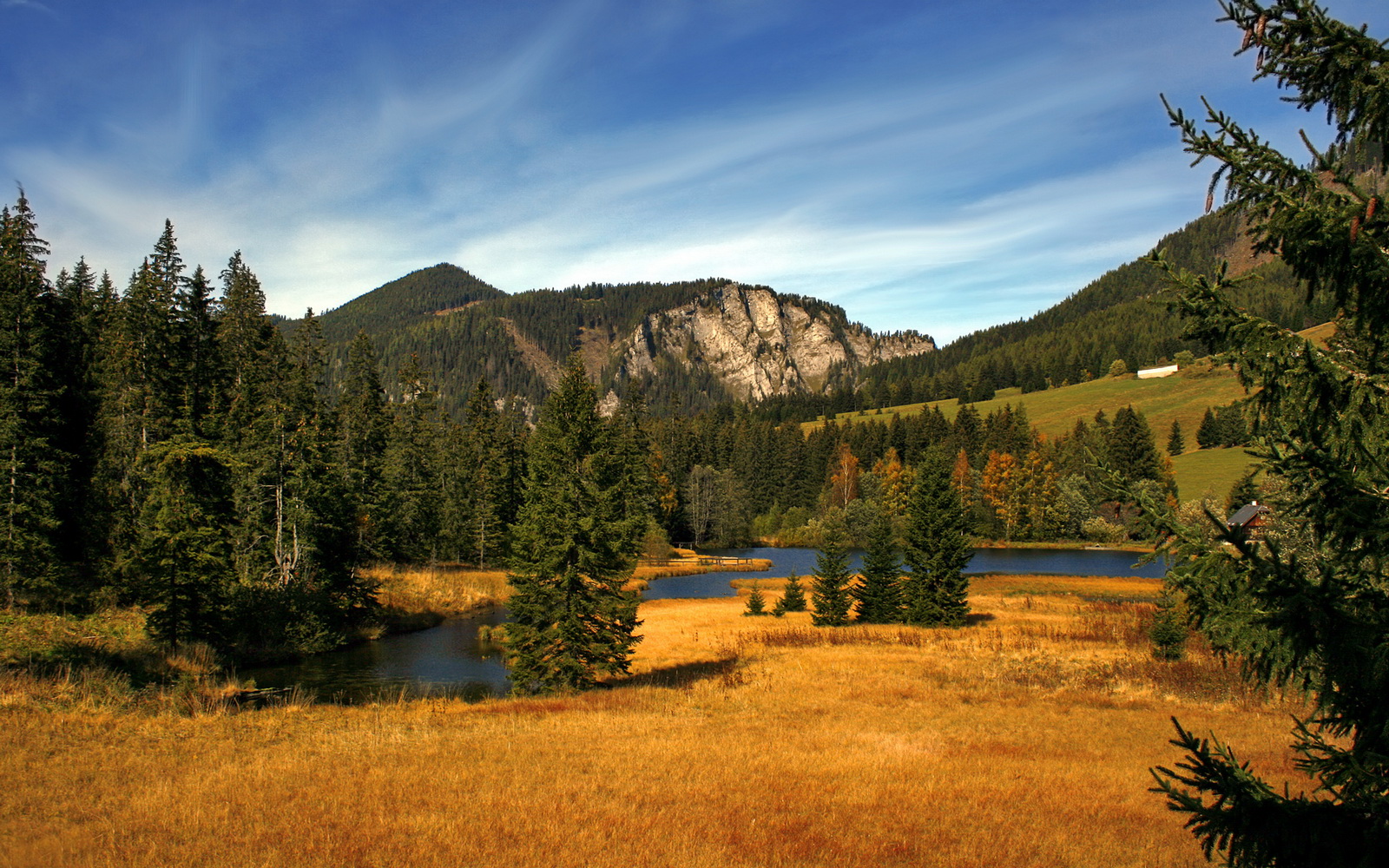 破局之战，从美加墨焦点看猛龙如何逆袭热火