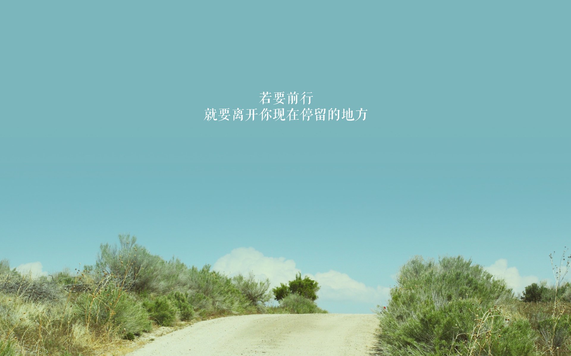 双城记，从深圳到费城，两种坚守同一种篮球魂