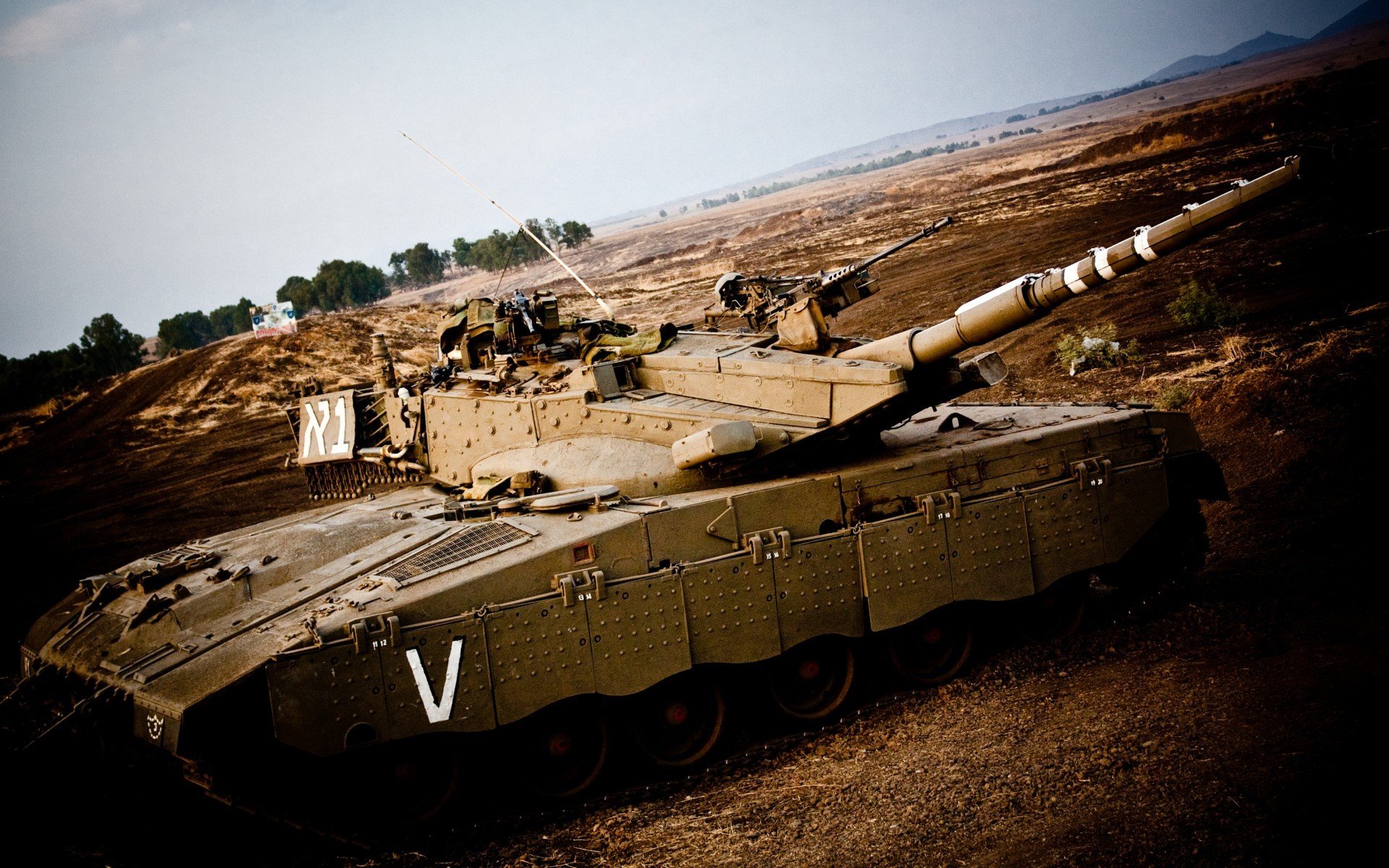 加维全场最佳无争议，澳大利亚对阵喀麦隆中的闪耀之星