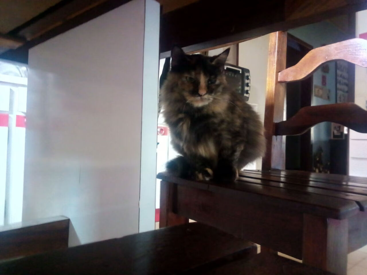 尼克斯压制猛龙，拉文末节狂飙扮演关键先生，撕裂的不仅是防线