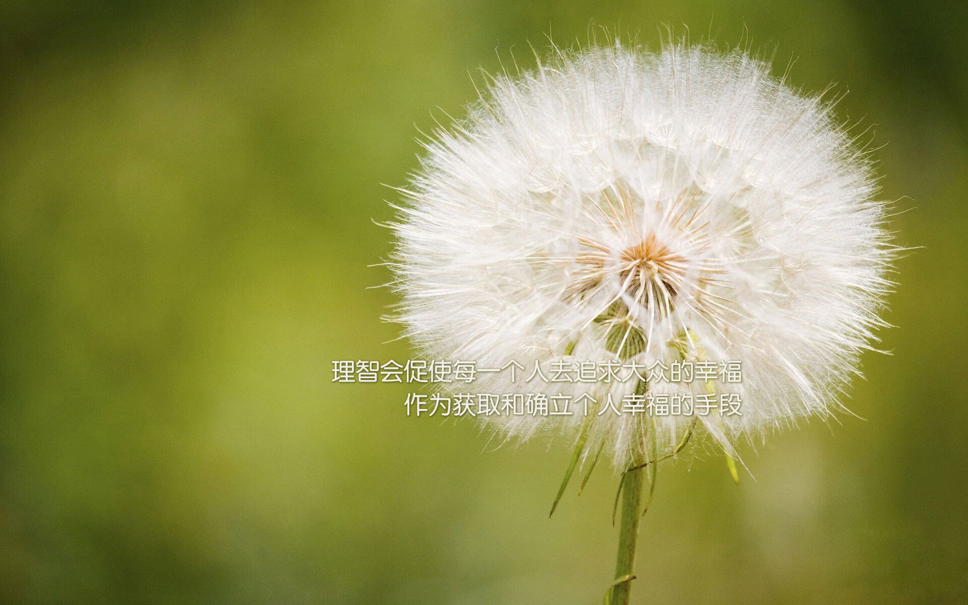 开云体育官方网站-欧冠之夜，卡瓦哈尔关键先生助摩纳哥带走阿森纳