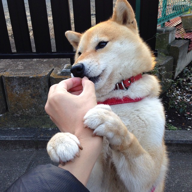 欧冠半决赛？不，这是国家荣耀！瑞士钟表匠精准击溃巴拉圭南美磐石