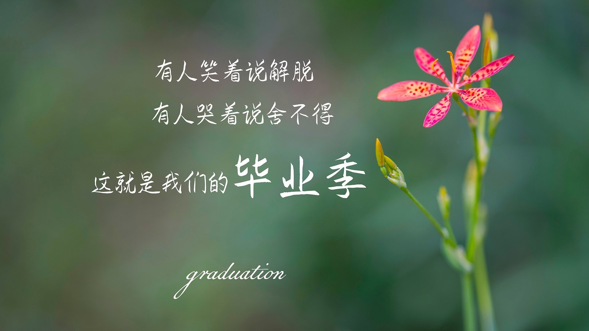 开云体育APP下载-北京队诠释东方智慧，詹姆斯关键三分定乾坤—当团队风暴席卷字母哥的雄鹿