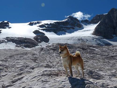 韩国力量欧冠惊雷,当孙兴慜们的利刃,刺穿切尔西的傲慢