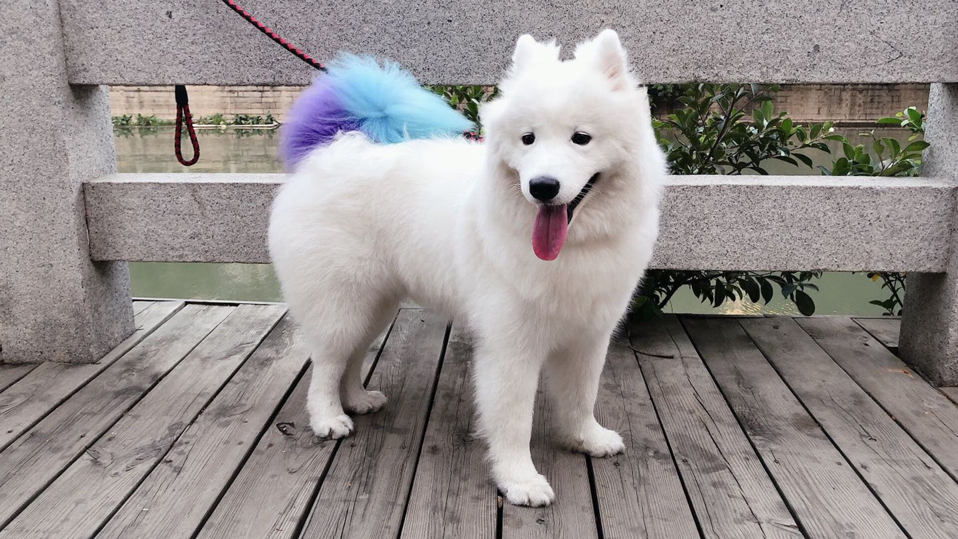 奥运前夜惊天冷门!韩国青年军凭何击溃西甲豪门?