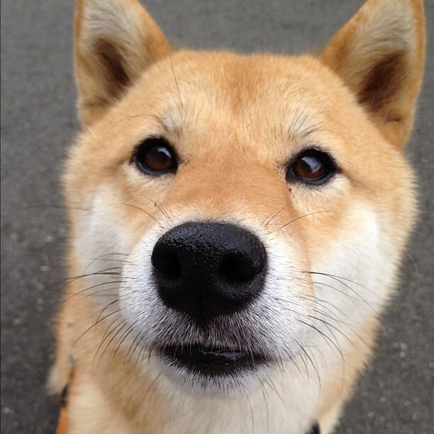 开云体育在线-跨越海洋的硬仗试炼，辽宁队直面恩比德与黄蜂的钢铁淬火