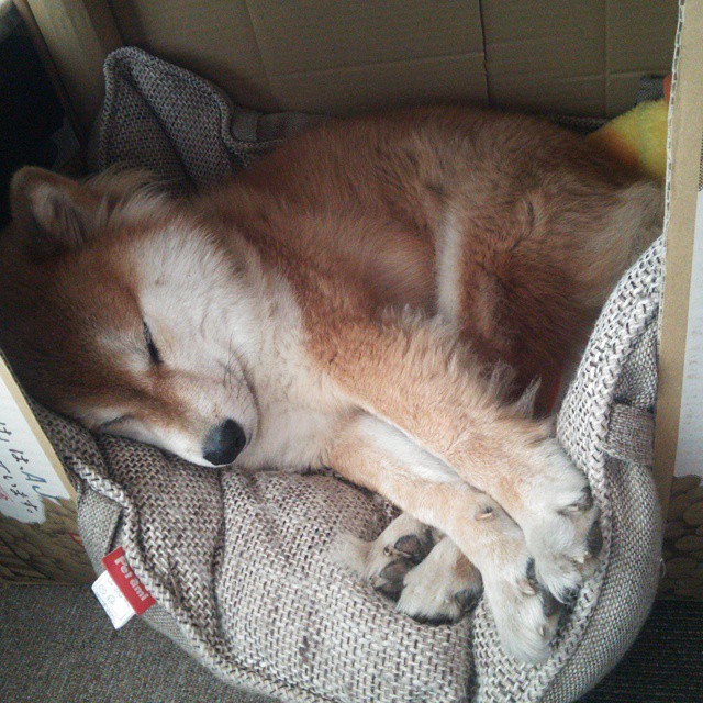 门迪一夫当关！丹麦险胜瑞士 欧洲杯关键战现制胜扑救