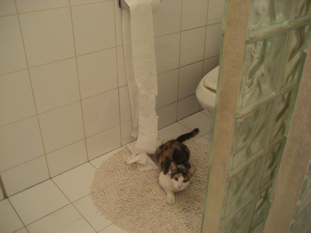 2026世界杯D组生死战，巴西狂暴碾压法国，福登神级调度带队昂首出线